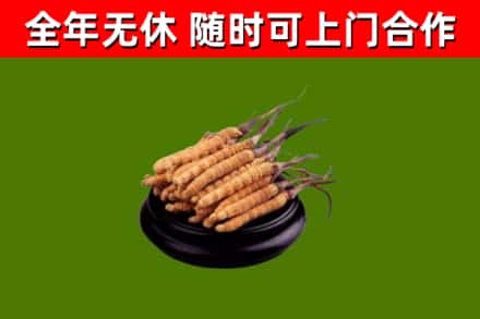 信阳市烟酒回收冬虫夏草.jpg